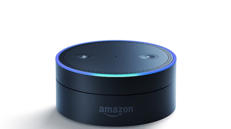 A Maine credit union is testing an Alexa skill for banking