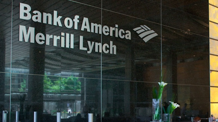 Bank of America has launched a website to lure more corporate card customers
